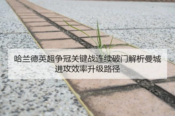 哈兰德英超争冠关键战连续破门解析曼城进攻效率升级路径