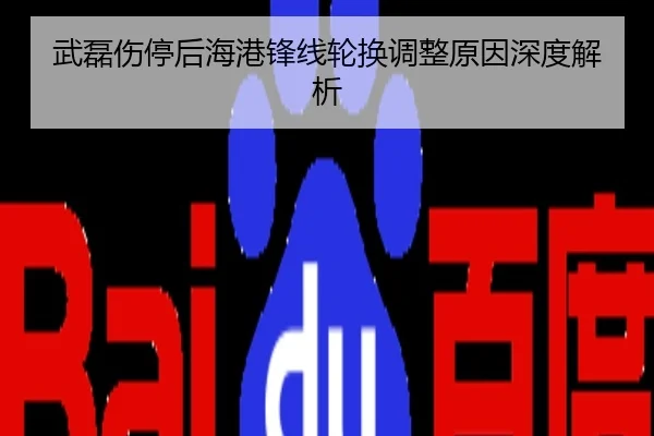 武磊伤停后海港锋线轮换调整原因深度解析